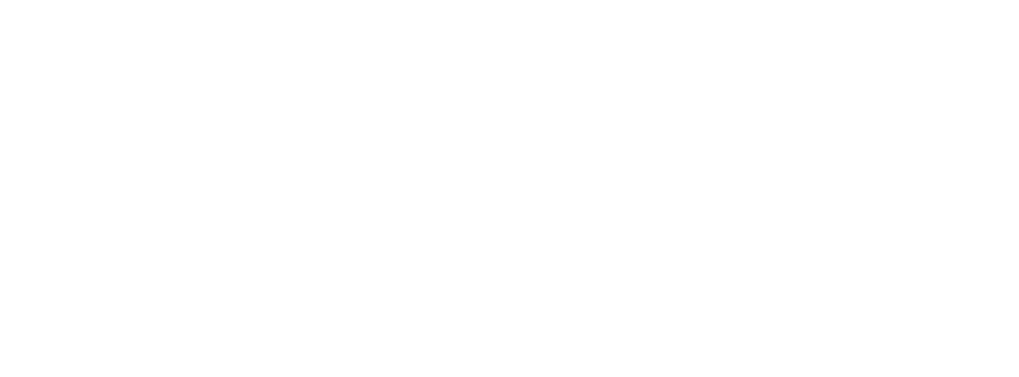 Fundació Assut