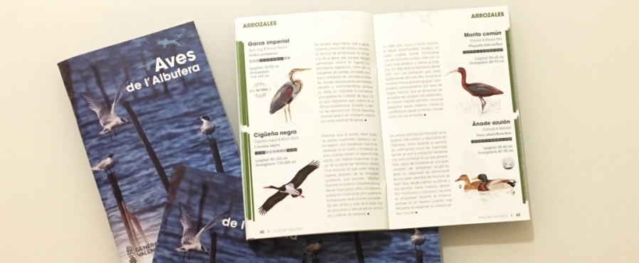 Una guía de aves para descubrir L'Albufera
