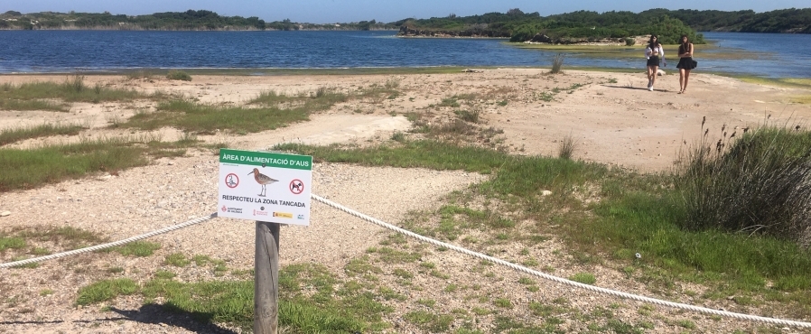 Aves bajo presión en el Estany del Pujol